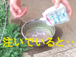 ペットの贅沢水素水を皿に注いでいると‥。