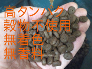 Mog Wan dog foodの粒。高タンパク。穀物不使用。無着色。無香料。