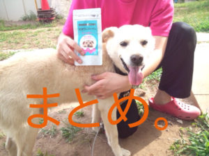 ビオワンファインをシニア犬の皮膚病対策に飲ませた、まとめ。